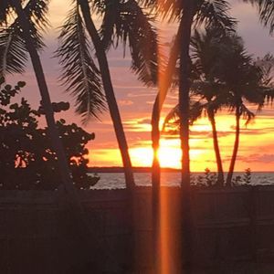 Meet your Posher, Regina